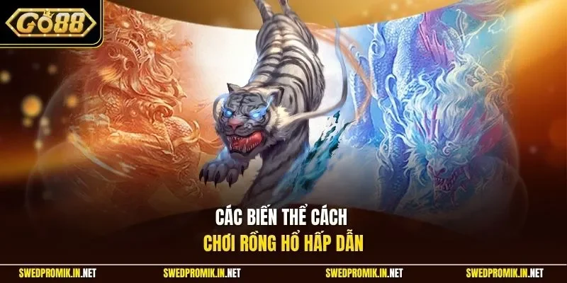 Các biến thể cách chơi Rồng Hổ hấp dẫn