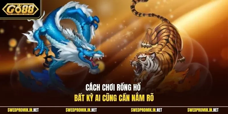 Cách chơi Rồng Hổ bất kỳ ai cũng cần nắm rõ