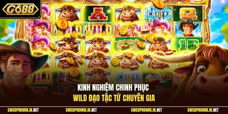 Kinh nghiệm chinh phục Wild Đạo Tặc từ chuyên gia